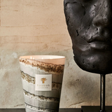 Baobab Collection - Sand - Atacama