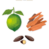 Baobab Collection - Sand - Siloli
