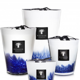 Baobab Collection - Feathers Touareg