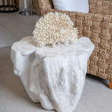 Coastal Chic Side Table - Fossilized Clam Shell
