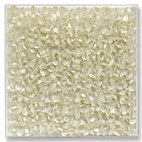 Coastal CoCo Wall Art