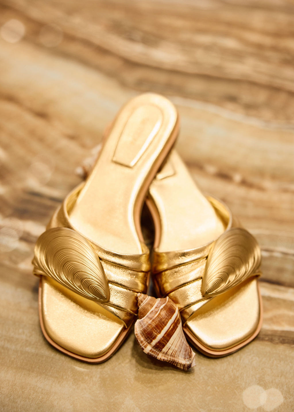 Gold sandal with shell design on a wooden surface