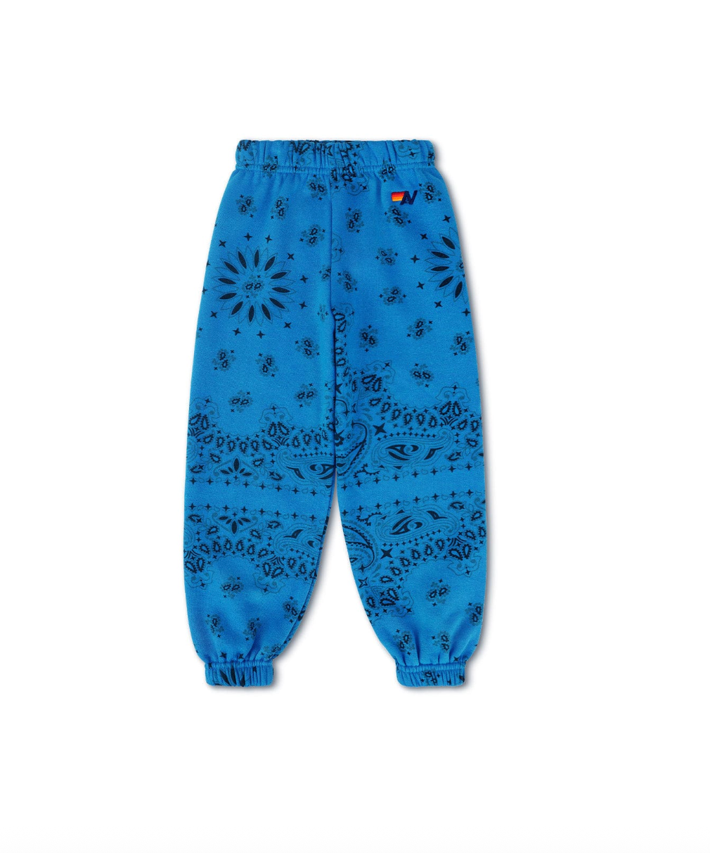 Blue pants with black pattern on a white background