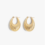 Gold hoop earrings on a white background