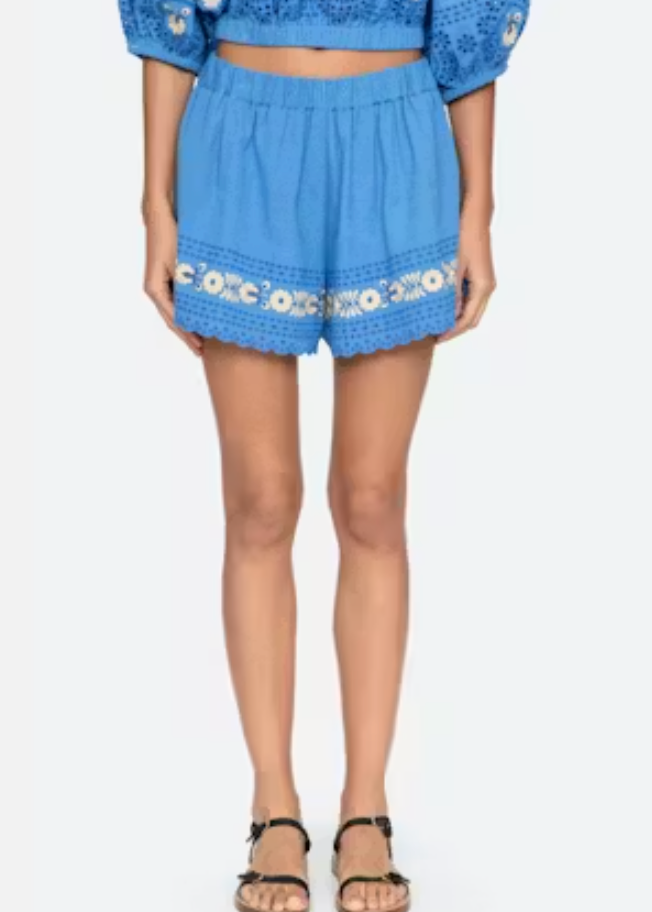 Blue embroidered shorts worn by a person on a white background