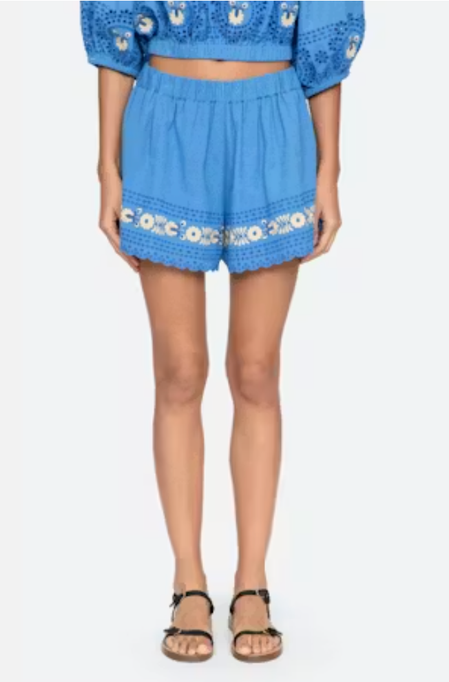 Blue embroidered shorts worn by a person on a white background