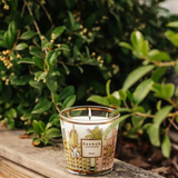 Baobab Collection - My First Baobab - Miami