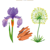 Baobab Collection - Les Exclusives - Cyprium