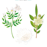 Baobab Collection - Pearls - Sapphire Pearls