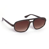 Brown lens black frame sunglasses