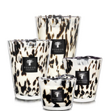 Baobab Collection - Pearls - Black Pearls
