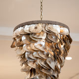 Playa Natural Oyster Shells Pendant Light